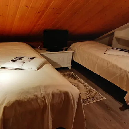 The Aurora Nest By Hilla * Saariselkä