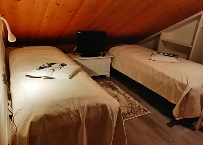 The Aurora Nest By Hilla * 사리셀카